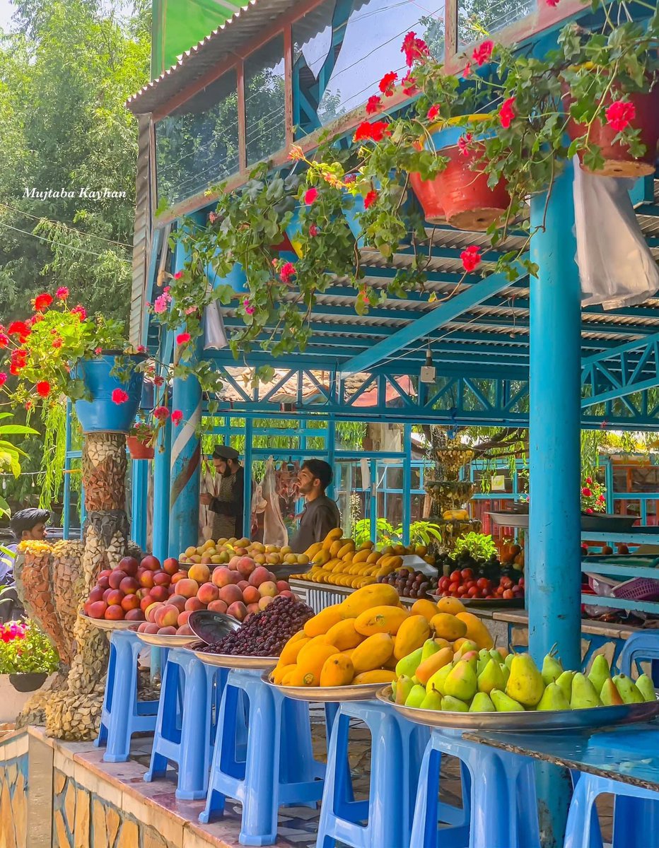 VisitAFG's tweet photo. Paghman district of Kabul ❤️
📸 @mujtabaKayhan3 https://t.co/X31f9Ub5Rk