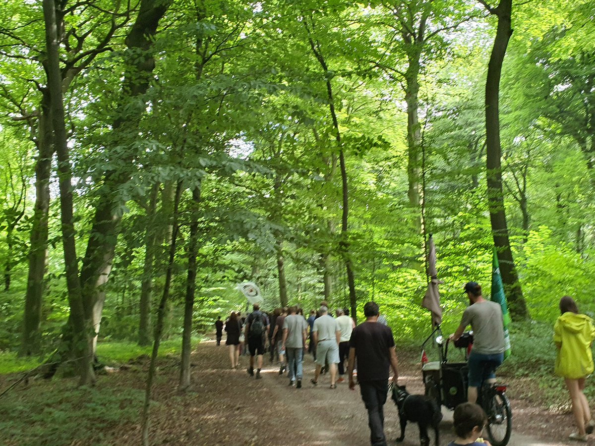 Wir sind gemeinsam im Wald unterwegs. Dieser schöne Wald darf nicht sterben. Dann besser die #Verkehrswende. 💪
#Sterkibleibt #Klimacampsterki #WaldstattAsphalt