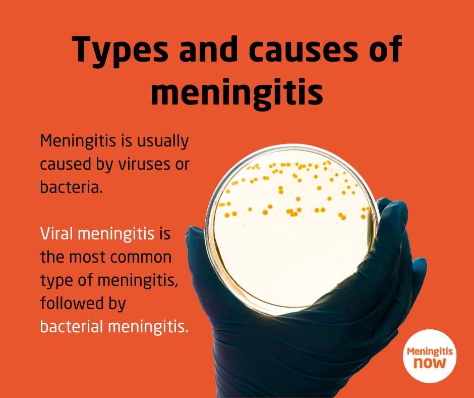 Meningitis is usually caused by viruses or bacteria. Viral meningitis is the most common type of meningitis, followed by bacterial meningitis. Rarer types of meningitis include chemical and fungal meningitis. 

Find out about the types of meningitis 👉 bit.ly/3iNdQDo
