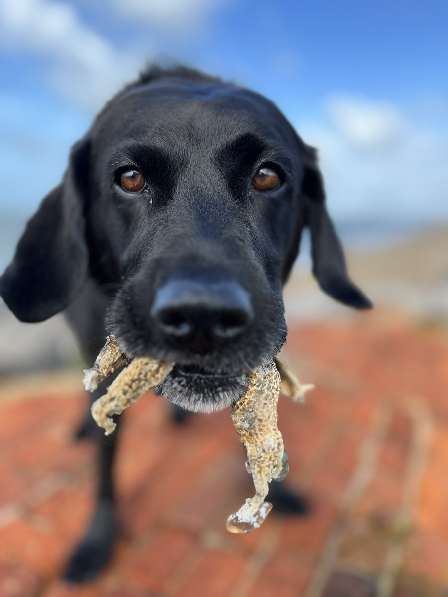 Sarah Morris tweet media