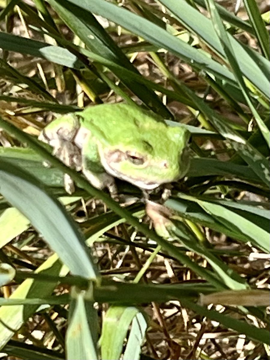 Debbie Russell Lawyer Turned Writer tweet media