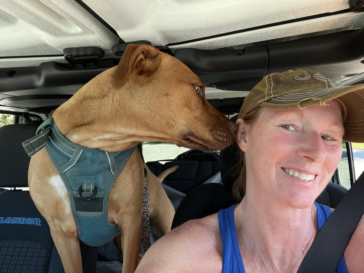 terrye_thorp's tweet photo. We went and got some iced coffee this morning then took a field trip to Loweโs.
Journey was less than thrilled when we stopped to do research on French drains and gutter options.
She was such a good girl.
#Jeeppup #Journey #Lowes #flowers #Frenchdrain #gutters @Lowes https://t.co/jIbsRf7sRK