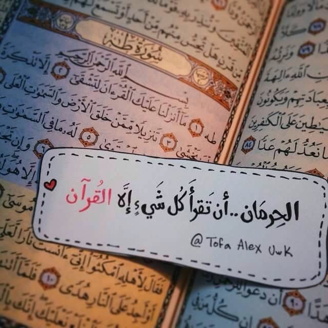 Mamo_Chaan's tweet photo. لو أنفقت على أولادِك كنوز الدُنيا = سيفرون منك يوم القيامة!
لكن لو علَّمتَهُم القرآن = سيبحثون عنك ليُلبِسُوكَ تاجَ الوَقار 👑❤ https://t.co/PFBTDgf4XR