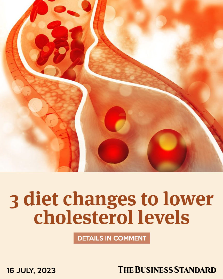 tbsnewsbd's tweet photo. 3 diet changes to lower cholesterol levels
#highcholesterollevels #cholesterol #cholesterolloweringdiet #heartattack #stroke #healthtips #Bangladesh #TBSNews https://t.co/p3R1ZHAYb5