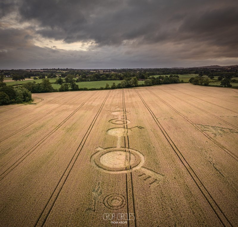 TruthisAll tweet media