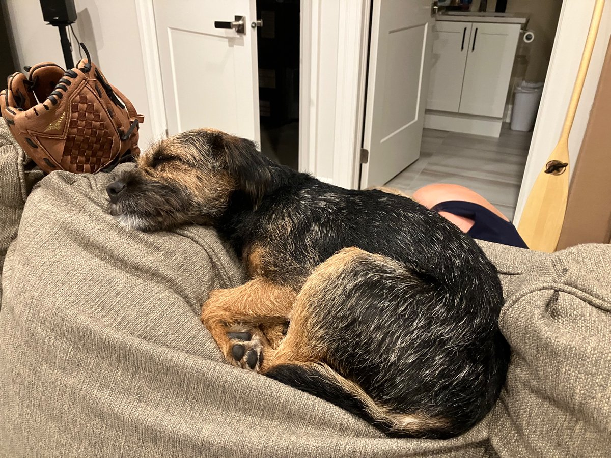 Fur friends, I am getting the 💤 from doing all this packing for da boys to go to <a href="/CampTawingo/">Camp Tawingo</a> ! #BTPosse #camping