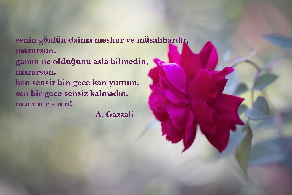 nietzschetes oscaryevski (@oscaryevski) on Twitter photo 