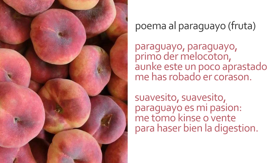 MI POEMA AL PARAGUAYO