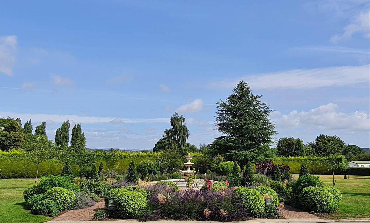 SPRING Support tweet media