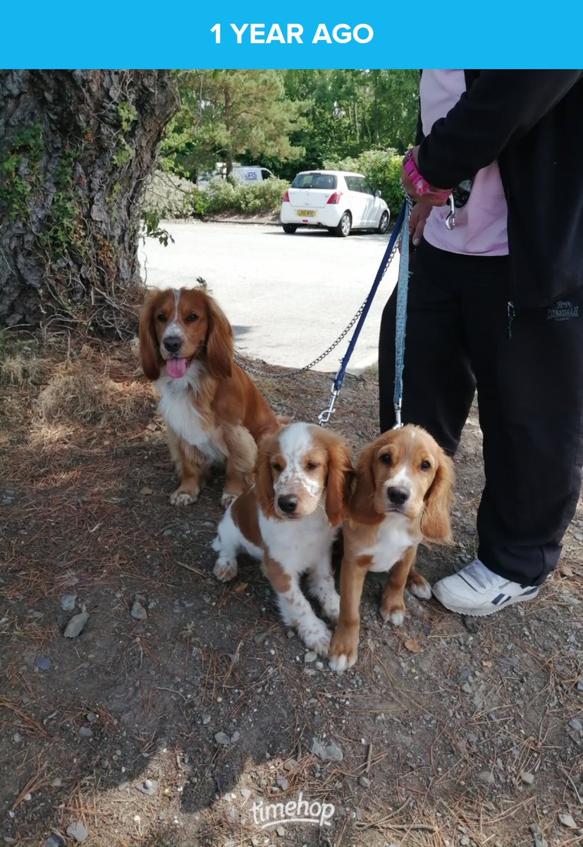 Oliver & Paddy tweet media