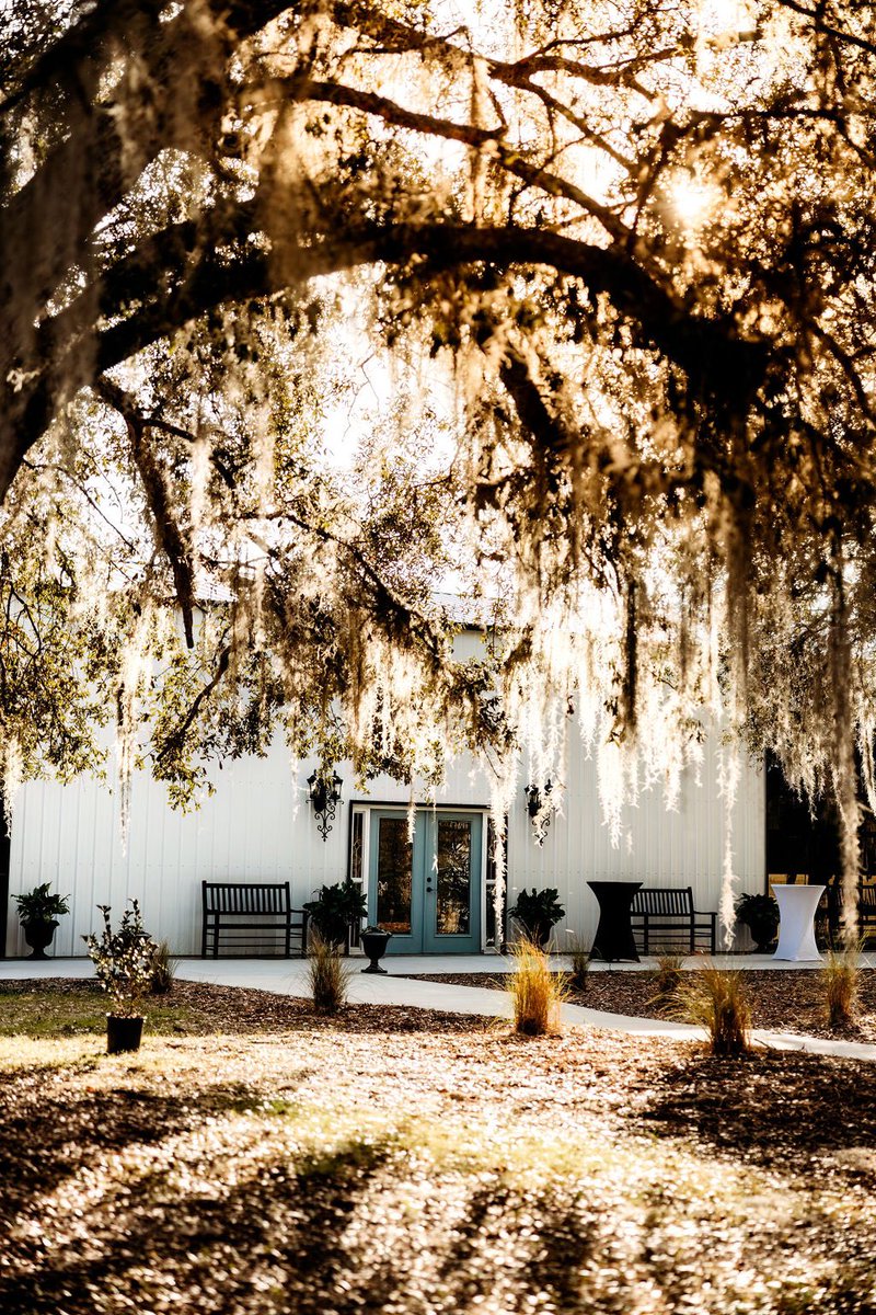 MrsKMaldonado's tweet photo. Hello everyone! I’m so happy to announce that I am the #venuemanager for Honey Acres Ranch in DeLand! If you are look for a place to have your wedding, dinner, party, shower, quincañera, banquet, event, etc. (YOU NAME NAME IT), Message Me! 💌 https://t.co/tjm3yrx8qK