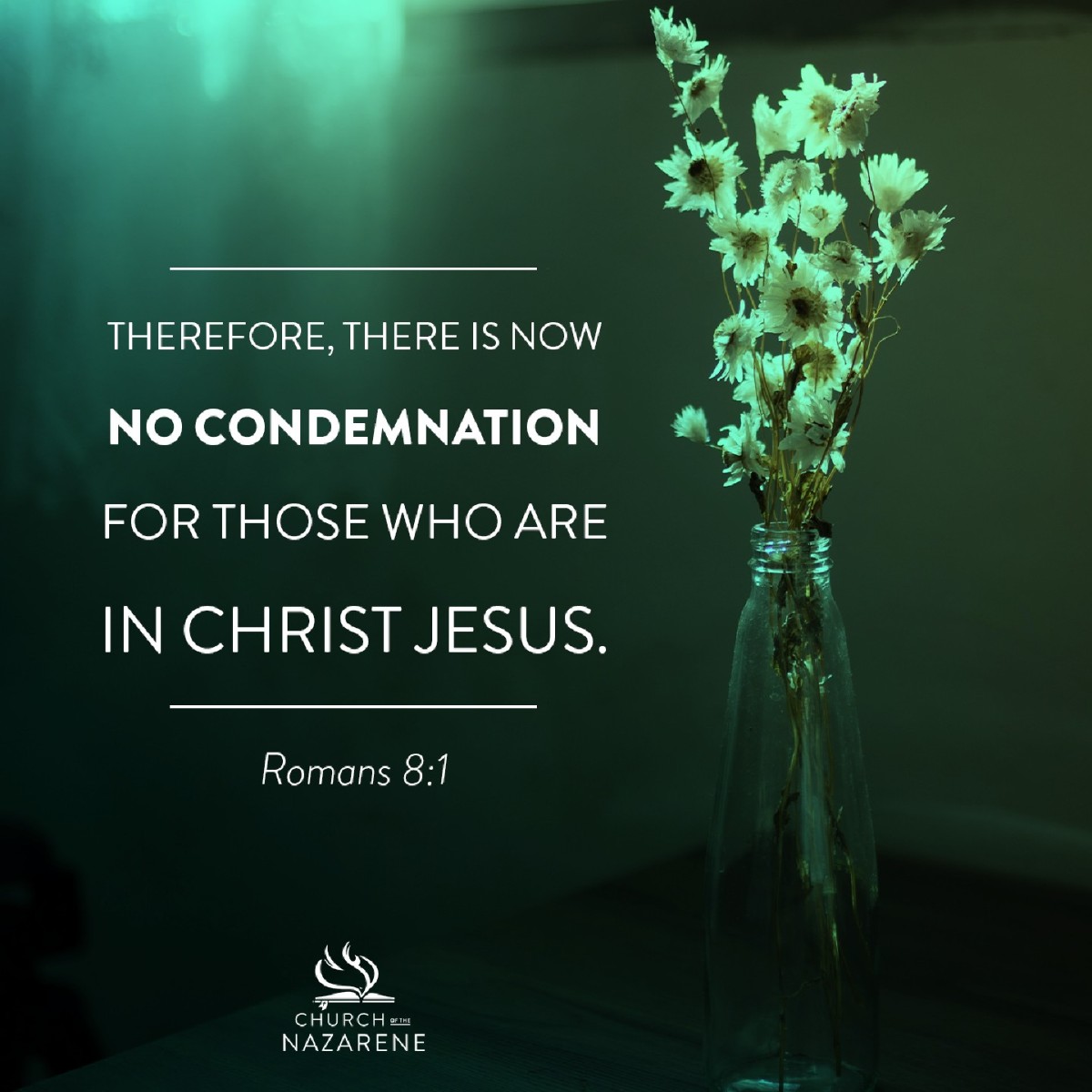 ChurchoftheNazarene tweet media