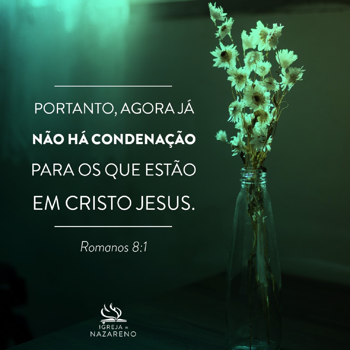 ChurchoftheNazarene tweet media