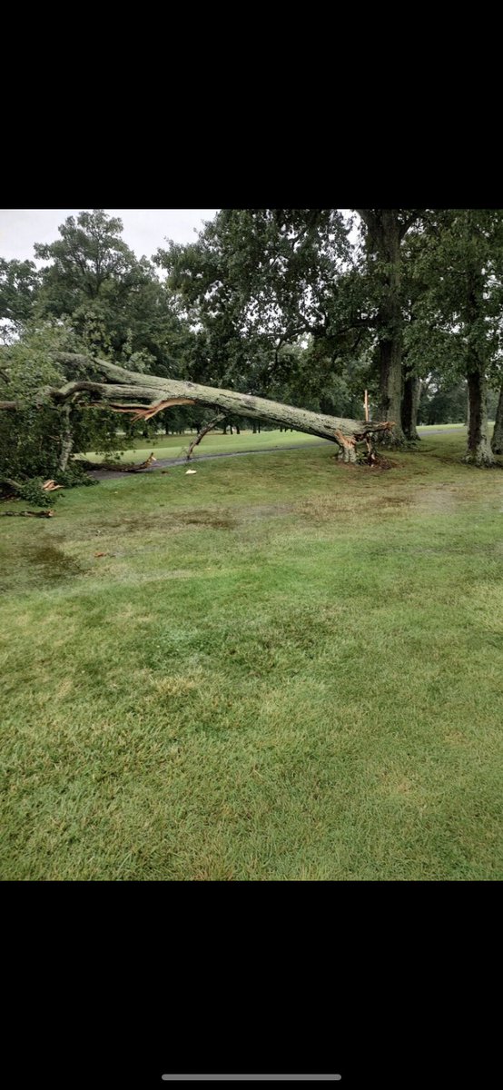 2.25” of rain followed up by a big tree down on 11 path. No mow and go for me this morning. Thankfully we vented greens last night to get a lil air in them before more rain this week.