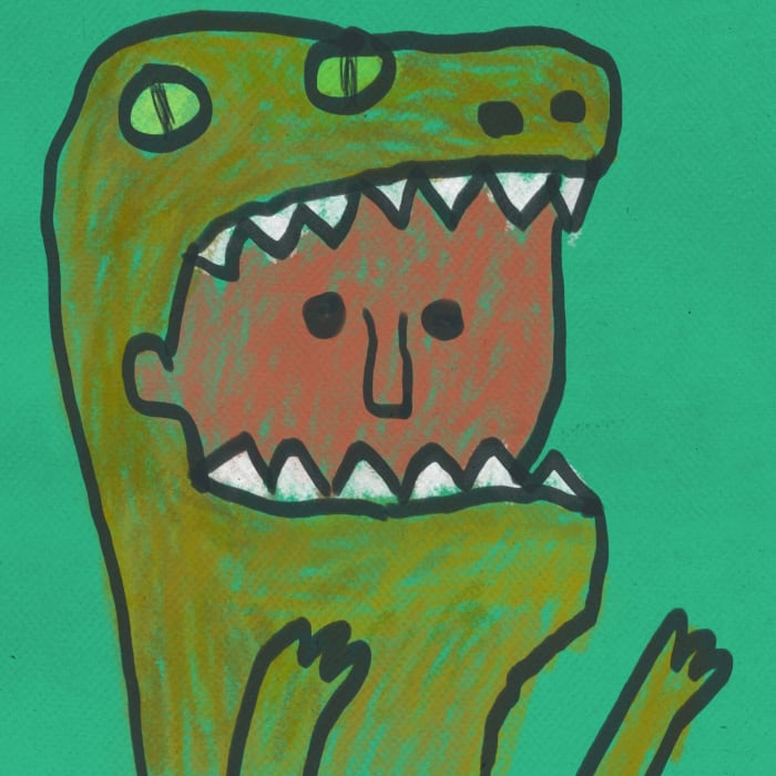 Finally，get a dinosaur boy