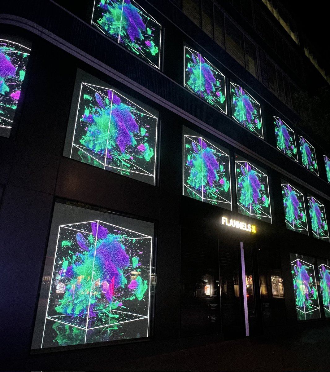 Pranksy (Wooloo Arc) tweet media