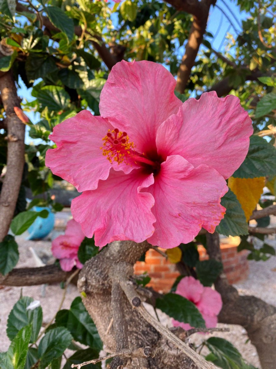 Irisbrochcr's tweet photo. 🌞🌺👩🏼‍❤️‍💋‍👨🏻🫧🐚 https://t.co/jmk6x7UNvo