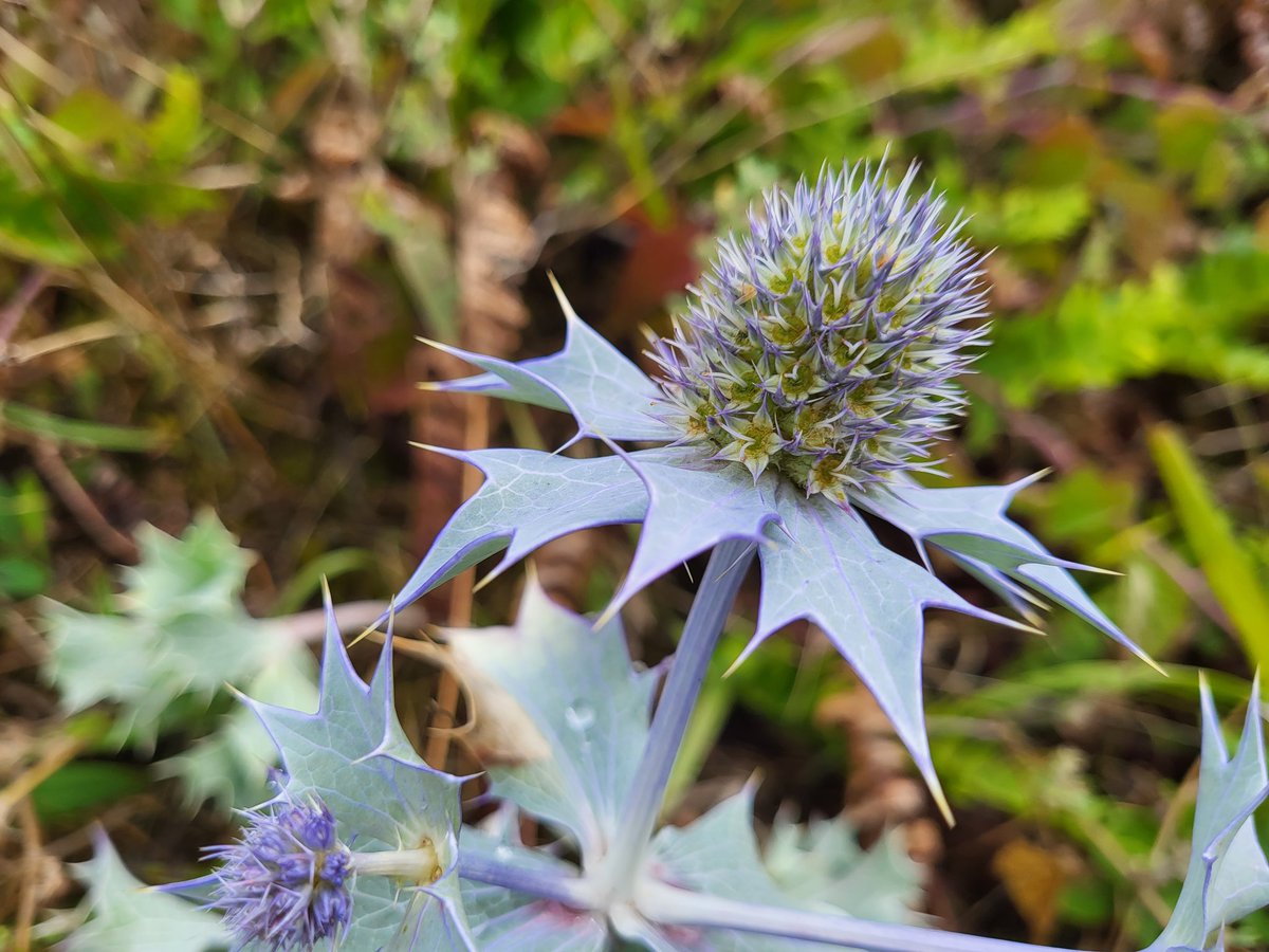 Lizzie Wilberforce tweet media