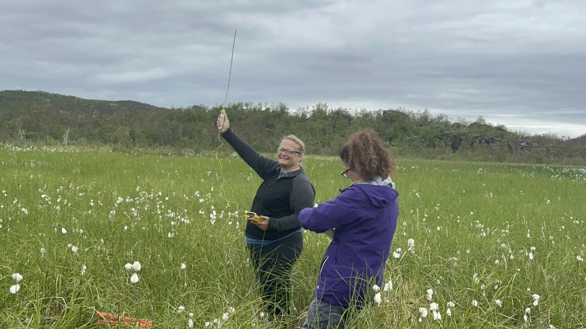 EMERGE_BII's tweet image. The @EMERGE_BII Field Team on their way for the first day of sampling in #StordalenMire! ⛰️🔬 Co-director Dr. @RuthVarner1 and @apryl_Perry collecting air temp and porewater. Dr. Brittany Fonner removing the first peat core. #permafrost #peatland #NSFfunded