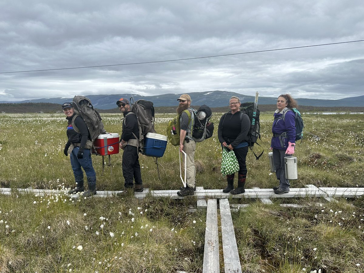 EMERGE_BII's tweet image. The @EMERGE_BII Field Team on their way for the first day of sampling in #StordalenMire! ⛰️🔬 Co-director Dr. @RuthVarner1 and @apryl_Perry collecting air temp and porewater. Dr. Brittany Fonner removing the first peat core. #permafrost #peatland #NSFfunded
