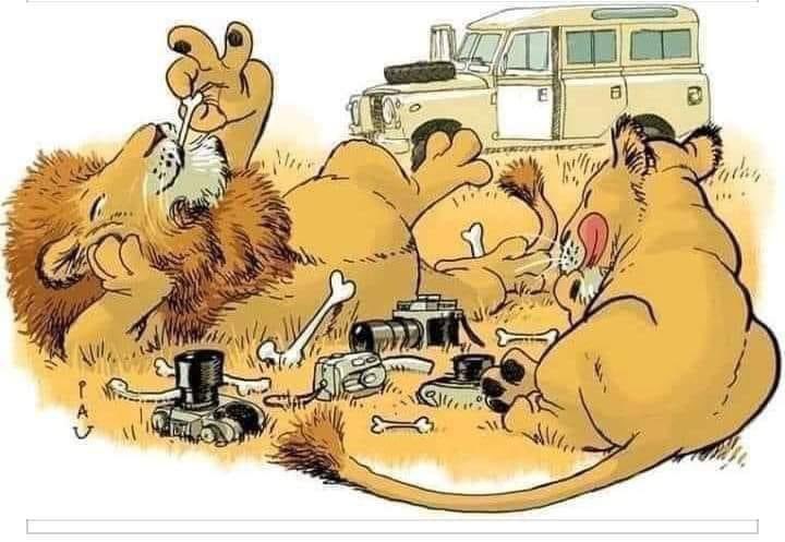 JoseFerreiraj94's tweet image. LA IMPORTANCIA DEL CAFÉ... 

"Dos leones huyeron del zoológico.

En la huída cada uno partió con rumbo diferente.
Uno fue hacia la selva y el otro hacia el centro de la ciudad.

Los buscaron por todos lados y nadie los encontró.

Después de un mes, y para sorpresa de todos,…