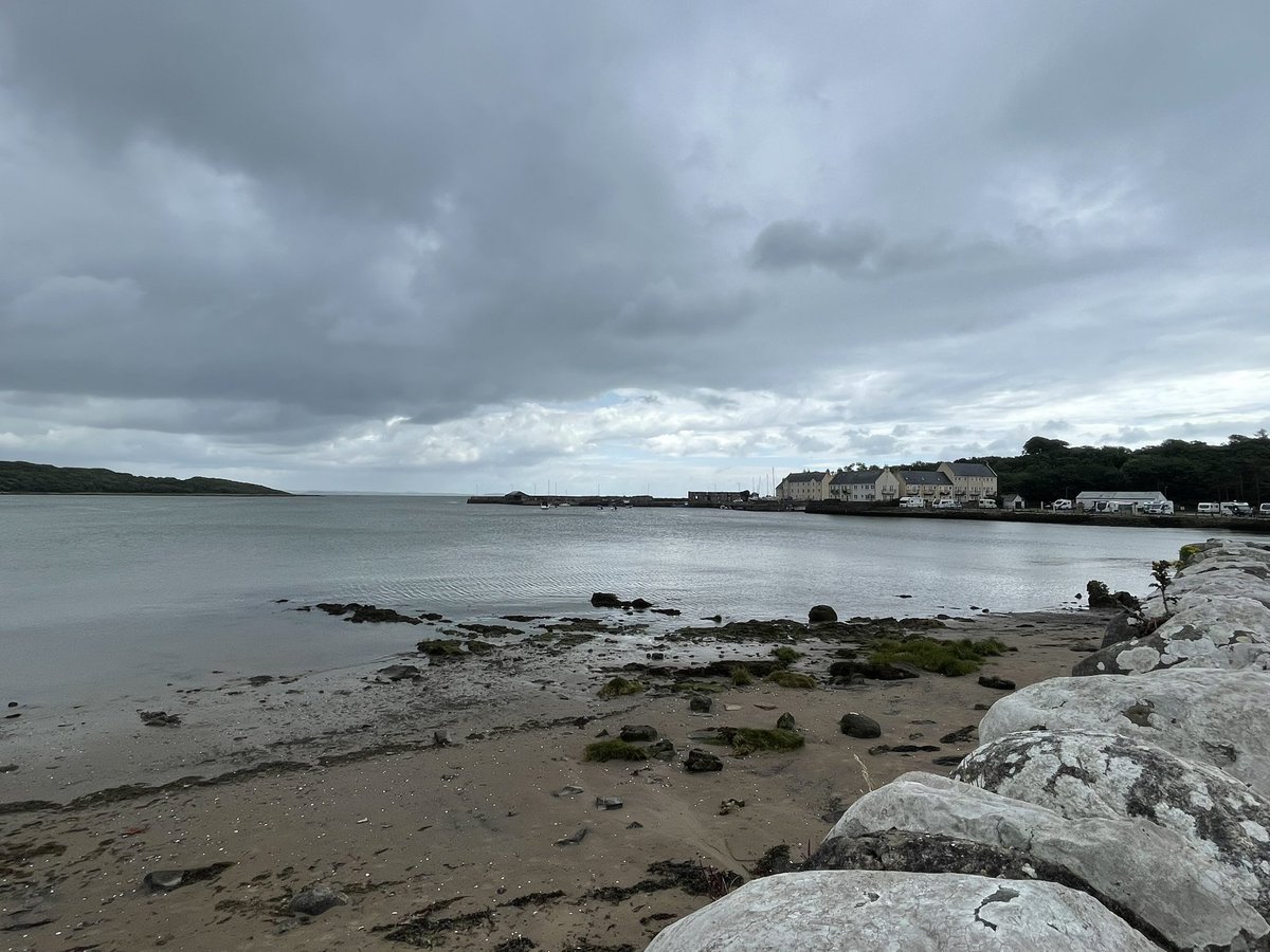 ScudandthesTig's tweet photo. Day17 moved 30 miles to the western peninsular. Weather a little overcast, but not spoiling the moody estuary views 
#vanlife #motorhomelife #solovanlife #garlieston #dumfriesandgalloway https://t.co/mJB02HfG3p