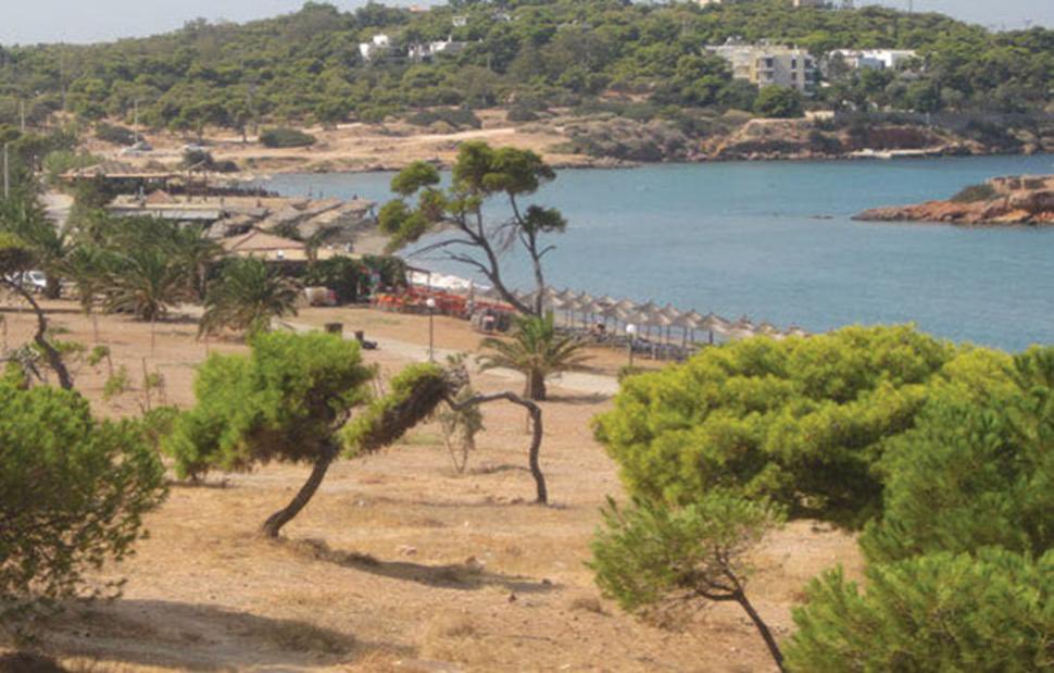 nesgrego's tweet photo. Στο Μεγάλο Καβούρι, τσιγγάνοι έχασαν από τον έλεγχο τους το 6χρονο παιδί τους. Το παιδί βούτηξε στην θάλασσα και για άγνωστη αιτία έχασε τις αισθήσεις του. Λουόμενοι άρχισαν να καλούν σε βοήθεια. Ο ναυαγοσώστης κολύμπησε μέχρι το σημείο και με τη βοήθεια των λουόμενων έβγαλε το παιδί στην παραλία. Λουόμενοι γιατροί και μονάδα του ΕΚΑΒ παρείχαν πρώτες βοήθειες και μέσα σε 16 λεπτά ήταν στο νοσοκομείο. Παρόλες τις υπεράνθρωπες προσπάθειες το παιδί ήταν νεκρό. Καθόλη την διάρκεια οι γονείς του ήταν άφαντοι και σαν να μην έφτανε αυτό μόλις αντιλήφθηκαν τι είχε  συμβεί  συγκεντρώθηκαν έξω από το Ασκληπειο της Βούλας και προκάλεσαν επεισόδια με αποτέλεσμα να κληθεί η αστυνομία. Τι να πούμε πάλι για αυτή την κοινωνική ομάδα; Αχαριστία. Κρίμα για το παιδί.