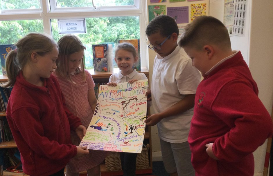 CockfieldPrima1's tweet photo. How do different animals breathe? Class 3 presented their research to the class as part of their Science learning about why Oceans are Important. https://t.co/hHP4vhrYYn