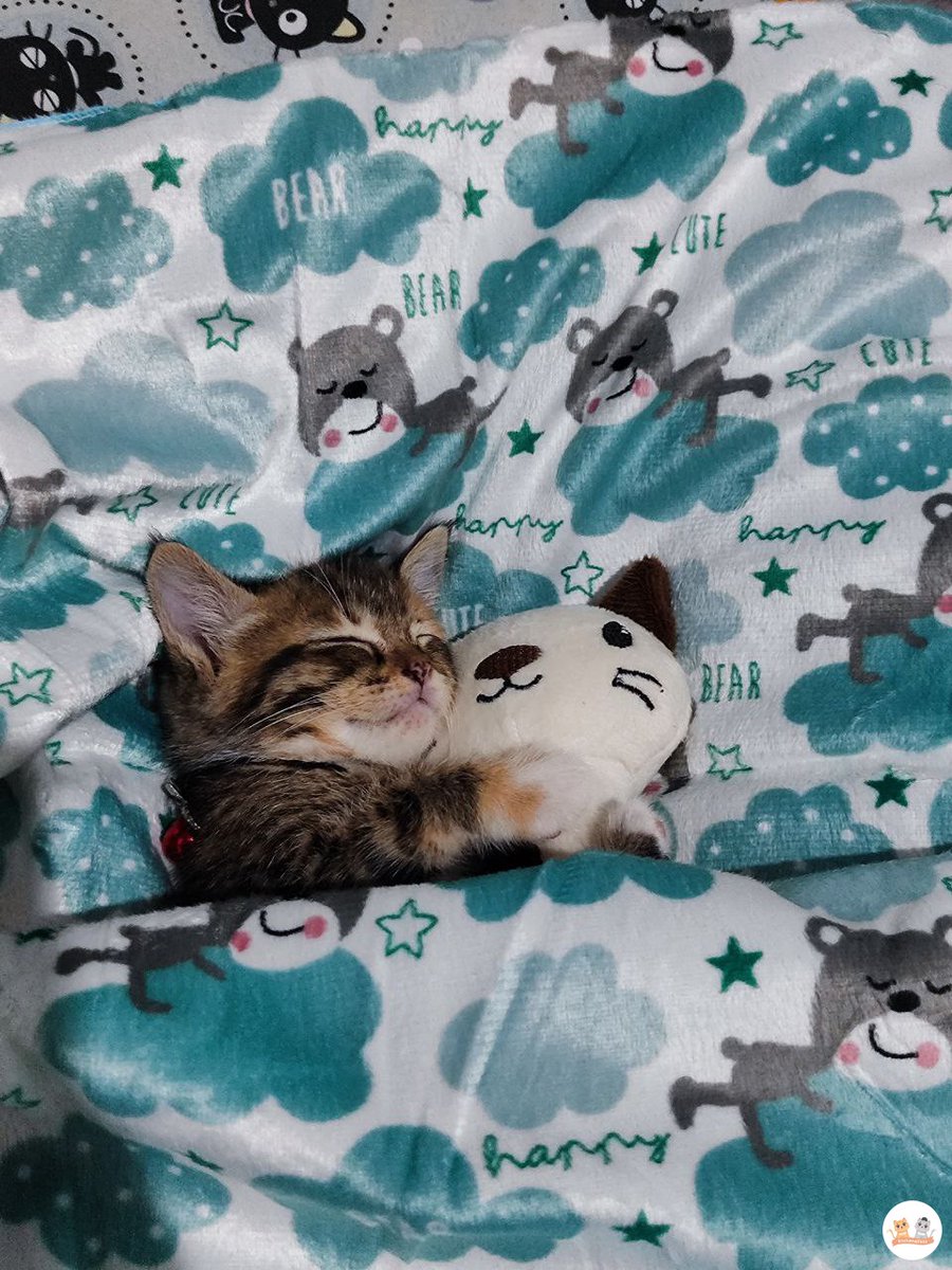 baru nyampe kasur 🥲