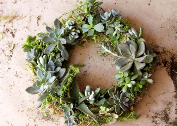 Craft up something natural and beautiful straight from the garden or create garden-themed decorations for indoors and out.

Learn more here: bit.ly/3NxvThg 

#garden #gardening #gardencrafts #gardentheme #gardendecorations