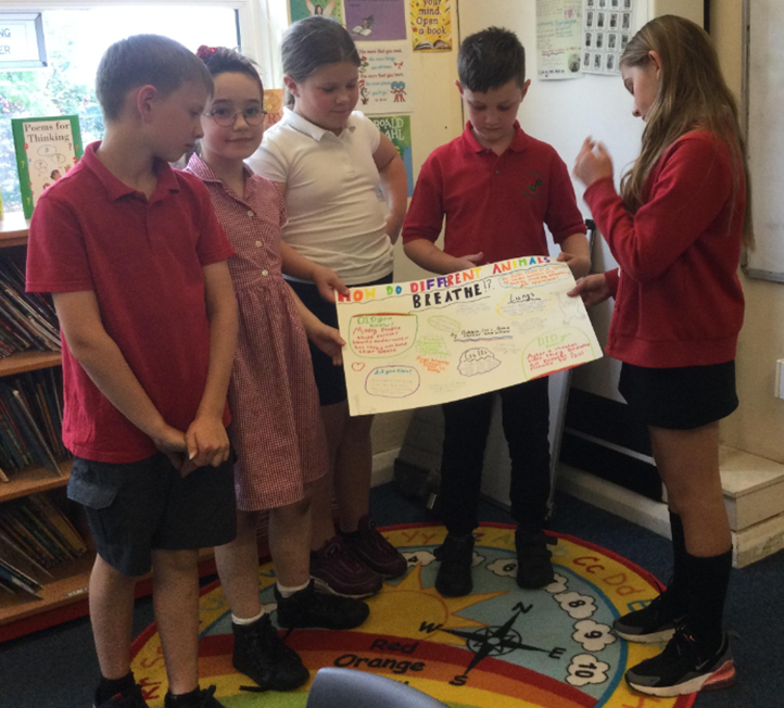 CockfieldPrima1's tweet photo. How do different animals breathe? Class 3 presented their research to the class as part of their Science learning about why Oceans are Important. https://t.co/hHP4vhrYYn