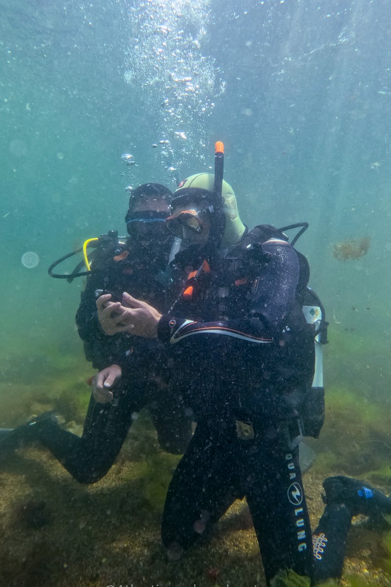 An incredible learning experience! When you learn how to dive you get to practice all the theory before going on a exploratory dive. It's all about immersing yourself in the experience and making you feel more confident about your skills!  
#UnderwaterClassroom #DiveDeepLearnDeep
