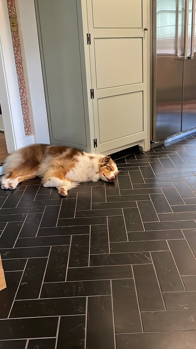 Evan Bienstock tweet media