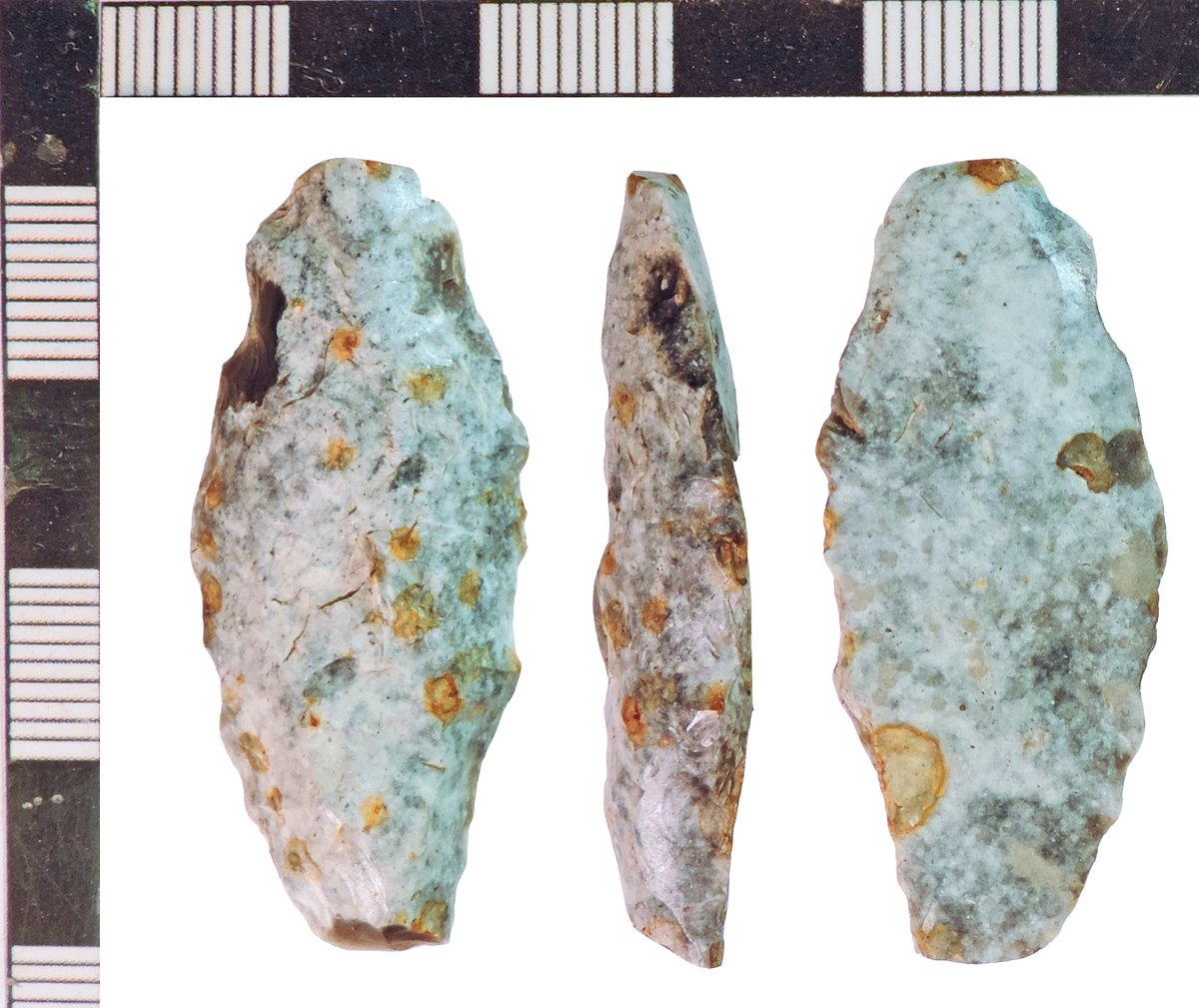 BotBronzeage's tweet photo. BRONZE AGE PLANO CONVEX KNIFE from Lincolnshire NLM-E4E472 https://t.co/h7IWxxM6Gk #prehistory #bronzeage #findsorguk https://t.co/8g6agM9nPl