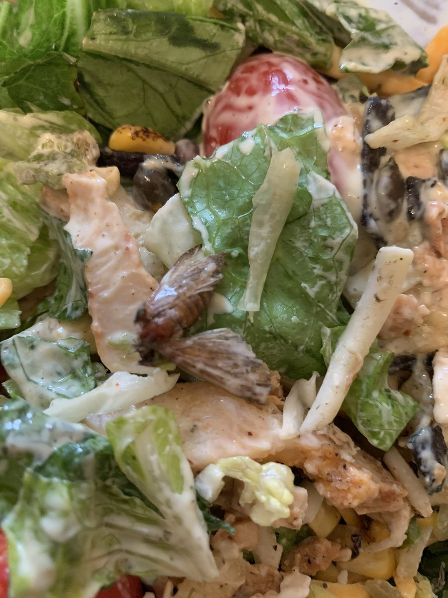 SonyaSparks's tweet photo. @ChickfilA  I spent my evening vomiting! How disgusting is this?! Imagine going home to sit down with your family eat dinner, while preparing your salad and find this🤮,a moth!! This is disgusting! And we purchased TWO salads! We didn’t need this kind of protein! Check your food! https://t.co/azY0C4vVOZ