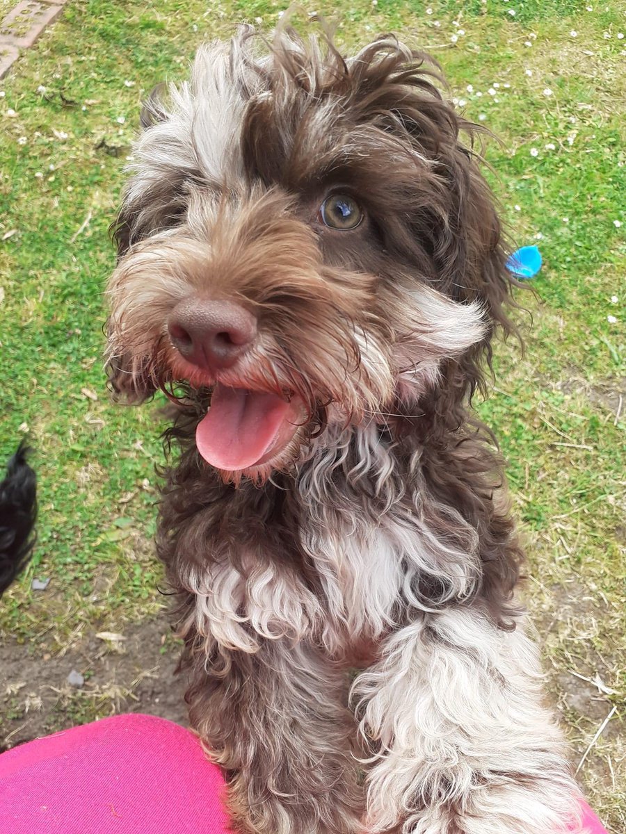 Clare (@clarecooky) on Twitter photo 