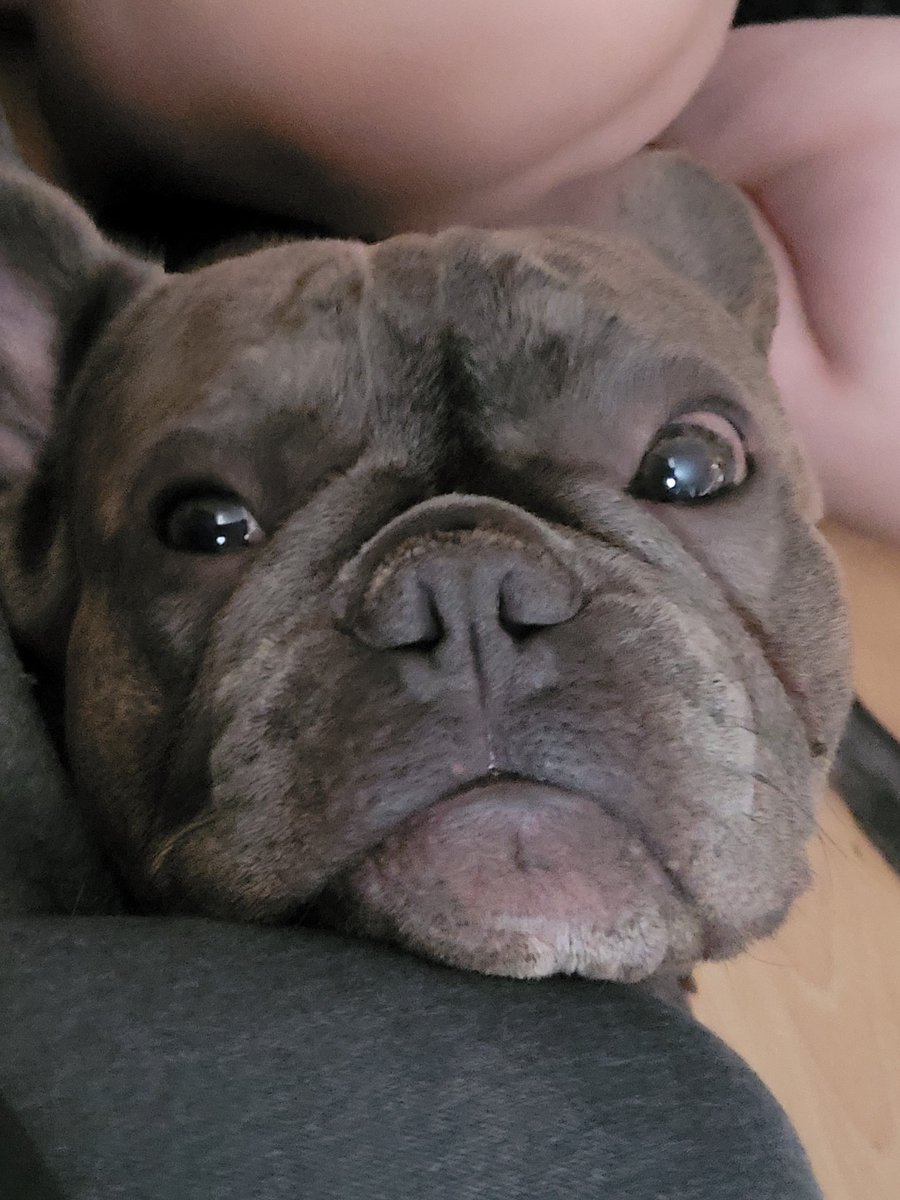 💖😍🪻Selina🪻😍💖 (@selina_twisted) on Twitter photo 