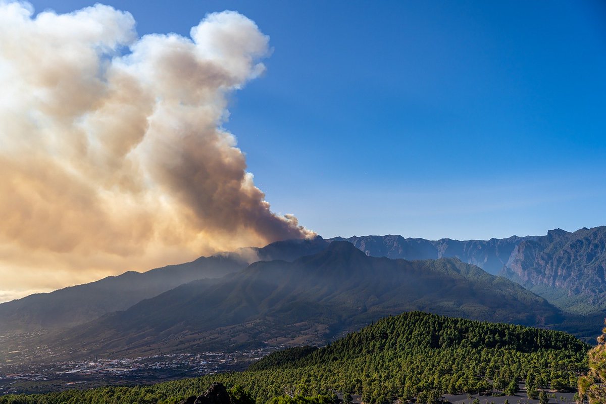coalicion's tweet photo. 🔴 CC suspende mítines y actos de campaña para concentrar esfuerzos en #LaPalma

👉Interrumpe todos los actos públicos de este domingo de sus candidatos y solo realizará las tareas ordinarias de ensobrado y reparto de papeletas electorales

#IFLaPalma 

https://t.co/4U6CxyTANJ https://t.co/jmp6Frb80Y