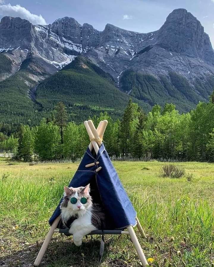 Istanbul Anadolu yakası fuhuş için en ideal bölge Avrupa yakasında Beylikdüzü Avcılar Haramidere ama ben Anadolu yakası Kartal yada Gebze tarafına yerleşmeyi düşünüyorum 🏡