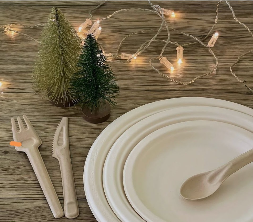 watson_pak's tweet image. bagasse tableware —the good choice of ecofriendly
#disposablepackaging #bagassetableware #bagasseplates #bagasse #sugarcane #sugarcanetableware #compostable #biodegradable #foodcontainer #foodpackaging #watsonpak #foodpack #ecofriendlypackaging