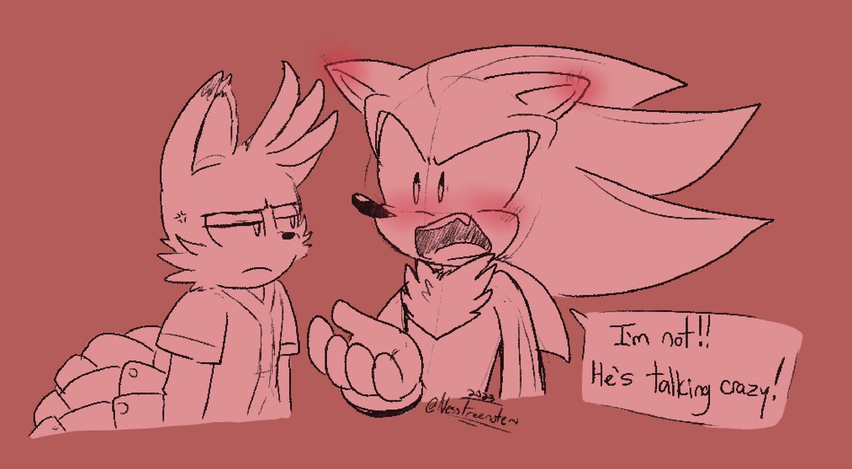 people already made this joke but idc i love this meme and i love them

#SonicTheHedgehog #sonicfanart #sonicprime #sonadow