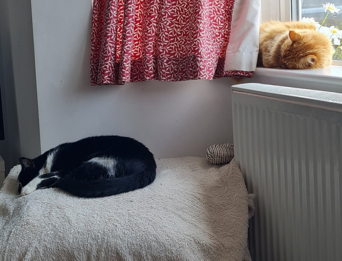 Natalie Joann Giles 🇺🇦 tweet media