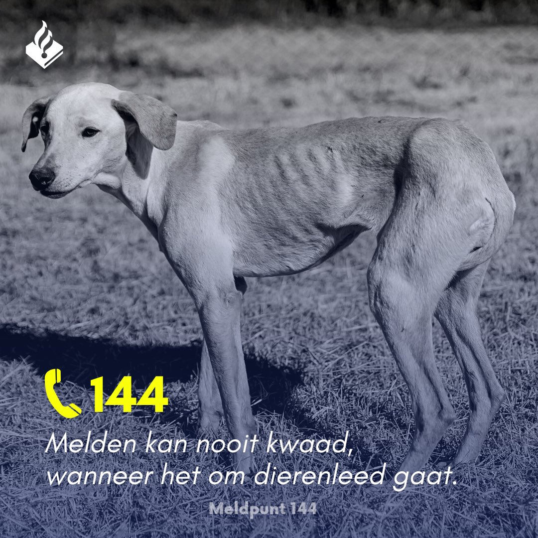 Een dier kan zelf niet bellen.

Ben je getuige van dierenmishandeling of -verwaarlozing? Ook bij twijfel mag je contact met ons opnemen!

📞 144
🖥️ politie.nl/informatie/hoe…