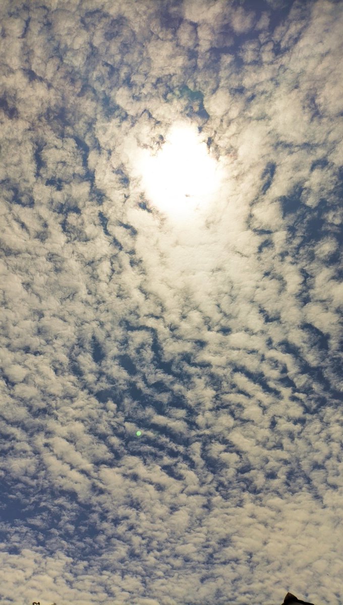 remove=cut off??
omo omo omo