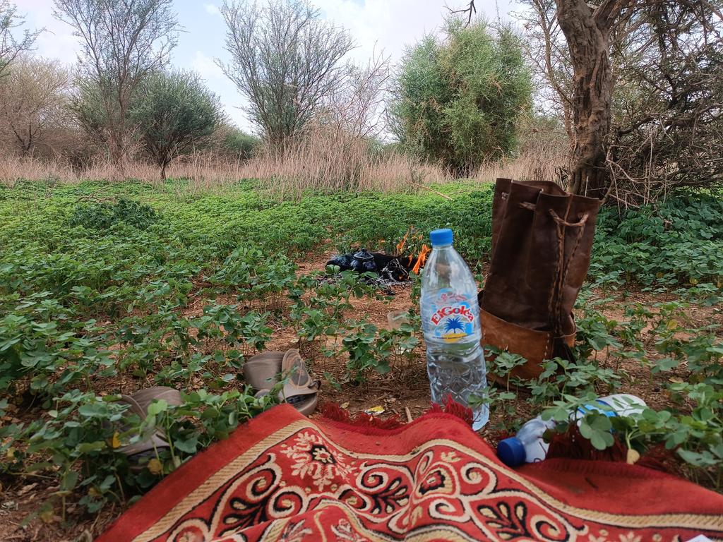 InZawnaker's tweet photo. #Azawad
#Kidal Adjlale
#Azawad #AdrarDesIffoghas #Adagh #Ténéré #Sahara #Désert 🏜️📸 https://t.co/HnaAlDuwc5