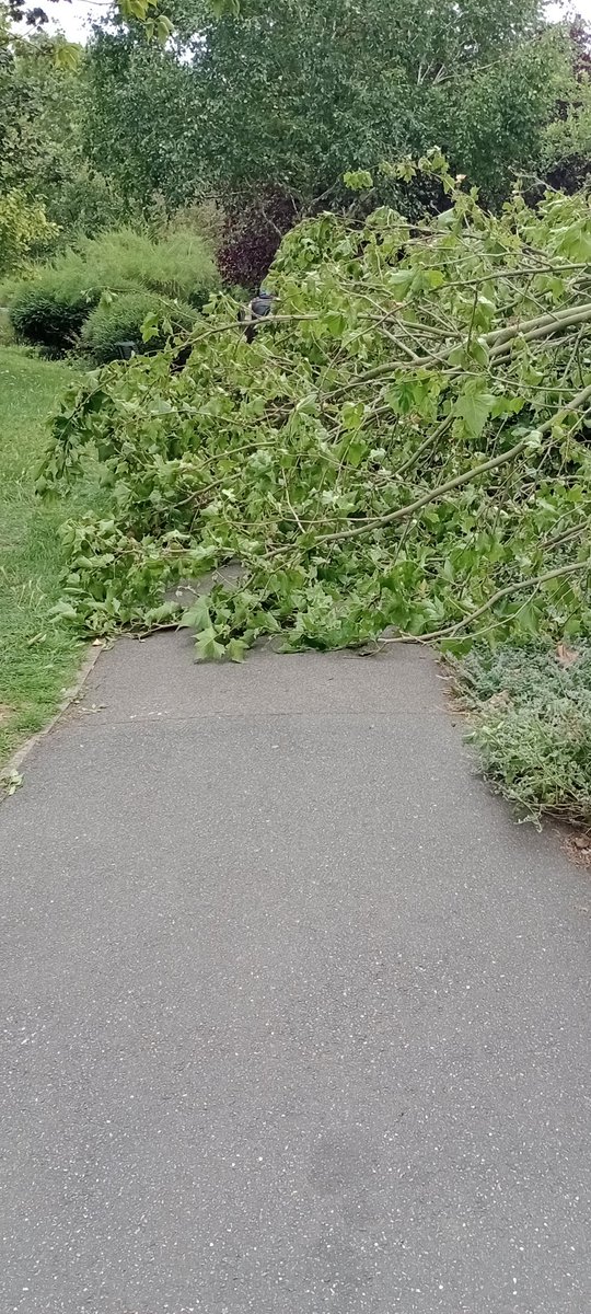 GarrettCarole's tweet photo. @lb_southwark  after yesterday's winds a part of a tree has fallen onto the pathway in Salisbury Row by Darwin Court in Barlow street SE17
Attendance needed please 🙏 https://t.co/AXC7Qh5Ztr