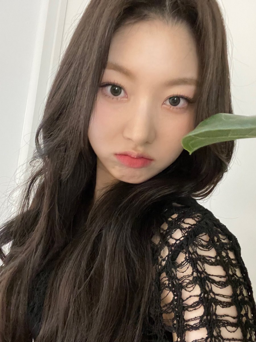드림노트(DreamNote) tweet media