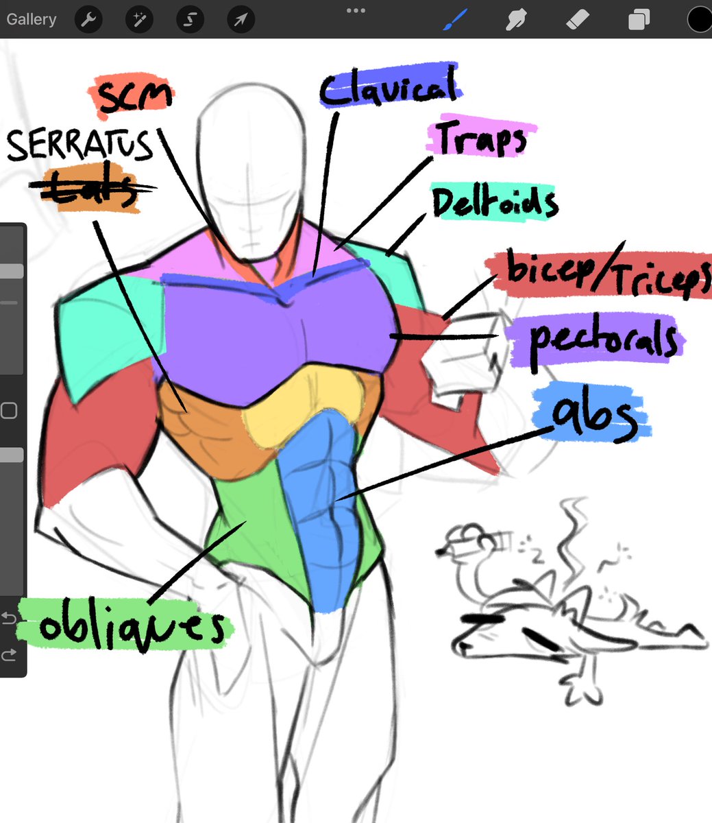 Slush_Draws's tweet photo. Forgot to share this here. I’ve been working on my anatomy skillz 😎
Still confusing asf but now i have these to remind myself if i get stuck https://t.co/xQJdPNQxPc