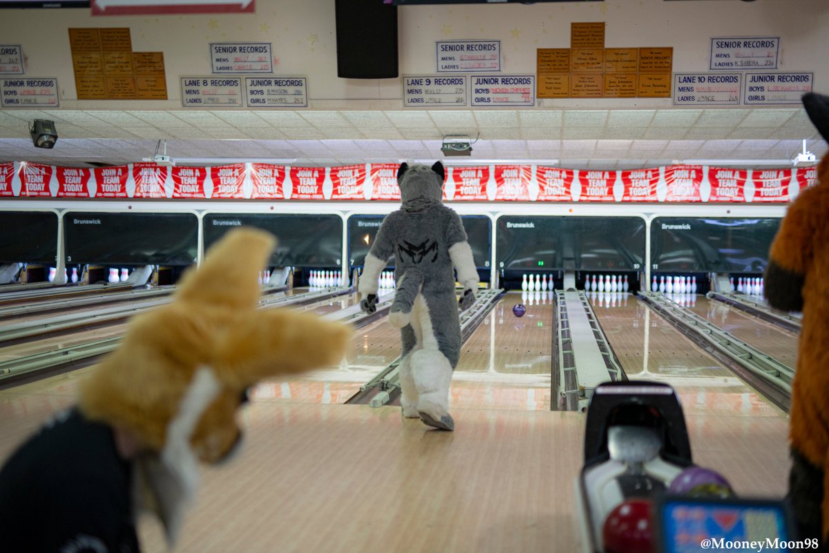 Another <a href="/BaFURstMeet/">#BaFURstMeet2025</a> is over, thank you for everyone there for making the events such a wonderful experience. looking forward to it all happening again next year.
The full list of images are in the link below
drive.google.com/drive/folders/…