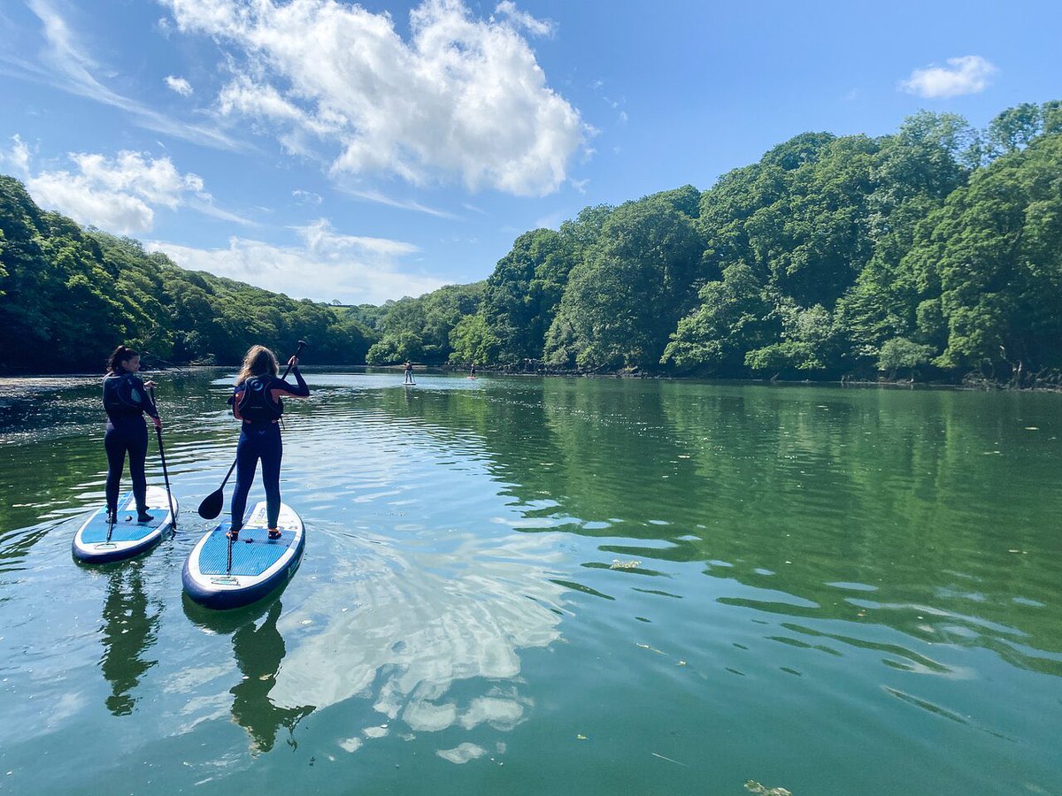 Koru Kayaking tweet media